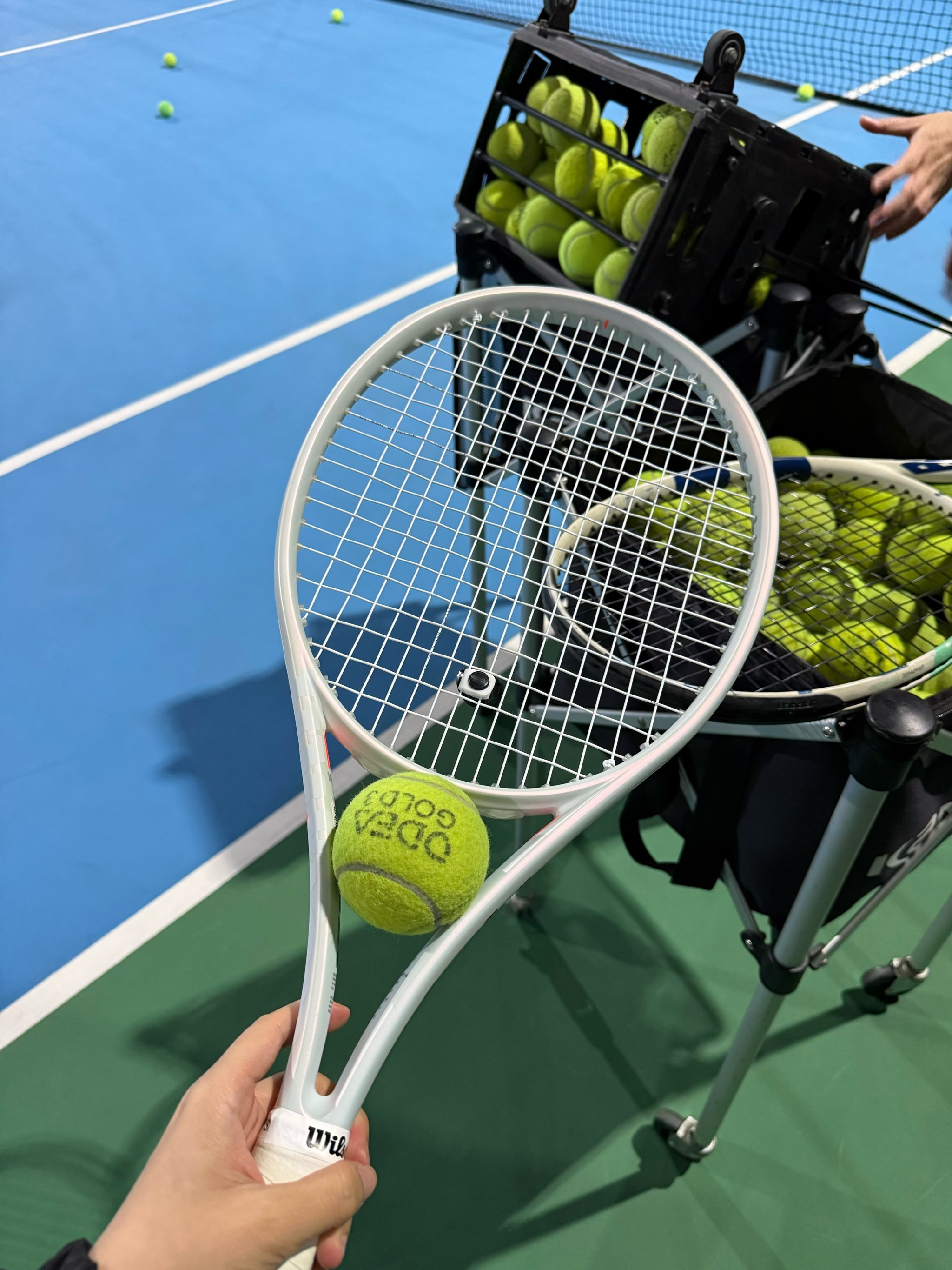 费回到曼联 费回到曼联