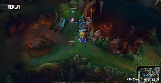 先来看鹈鹕 先来看鹈鹕